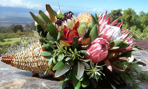 Cornucopia Protea Basket