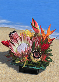Island Elegance Arrangement