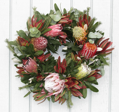 Fresh Protea on Grapevine Wreath
