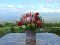 Keiki (Baby) Protea/Tropical Basket