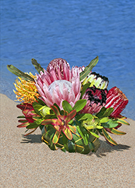 Kohala Basket