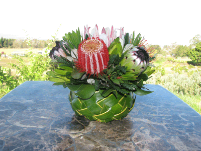 Kohala Protea Basket