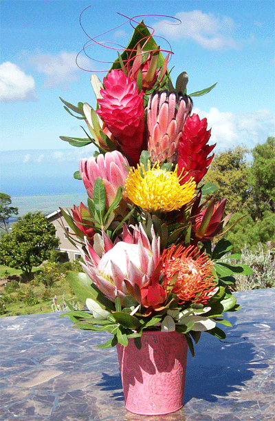 Ku'uipo Protea Arrangement