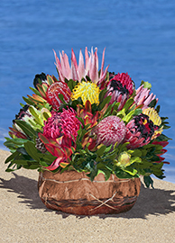 Large Fresh Protea Basket