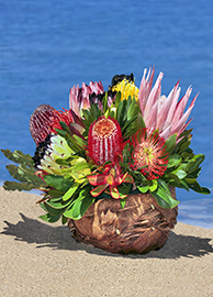 Medium Fresh Protea Basket