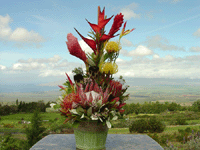 Makuahine Arrangement