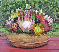 Fresh Basket