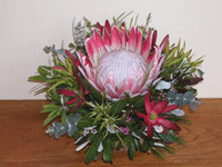 King Protea in a Basket