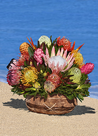 Large Protea Tropical Arrangement