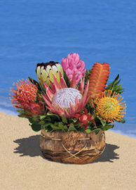 Small Protea Tropical Arrangement