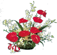 Hawai'i Anthurium & Orchid Bouquets