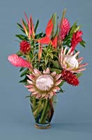 Leilani Protea / Tropical Bouquet