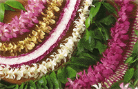 Fresh Hawaiian Floral & Leaf Leis