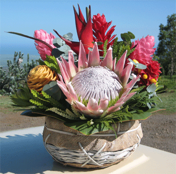 Protea Tropical Large Basket Arrangement