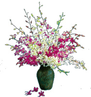 Molokai Dendrobium Orchid Bouquet