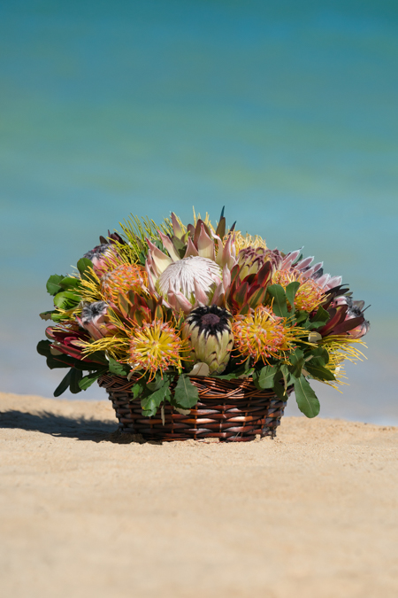 Large Fresh Protea Basket
