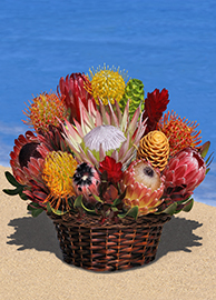 Large Protea Tropical Arrangement