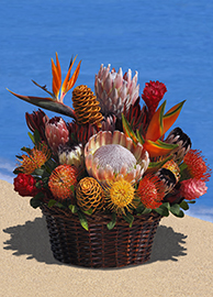 EX-Large Protea Tropical Arrangement