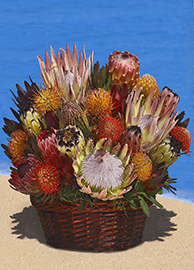 Extra Large Protea Basket