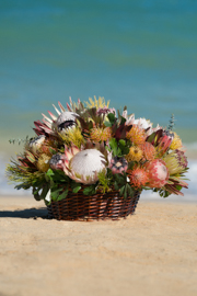 Extra Large Protea Basket